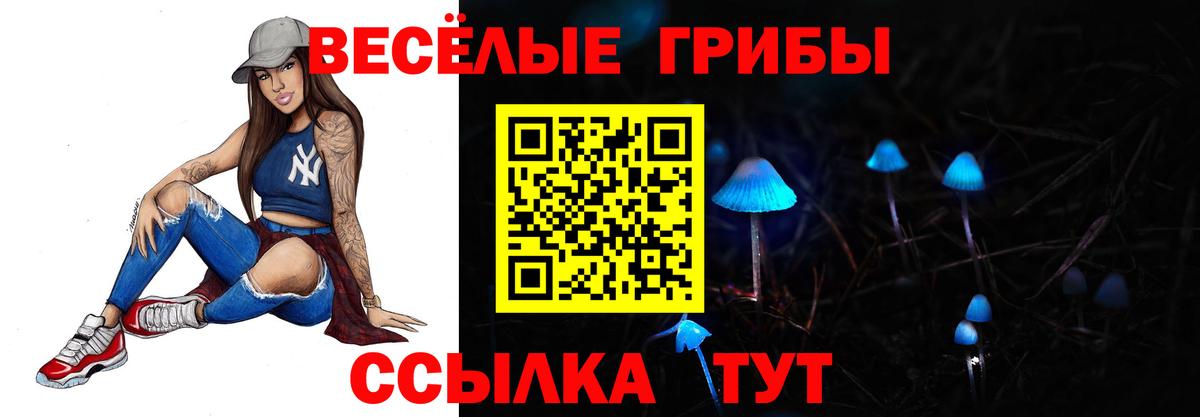Псилоцибиновые грибы Psilocybe  Вход с VPN  Курск 